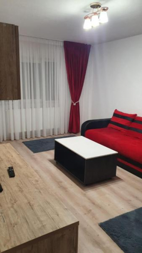 Apartament Nord 2 camere